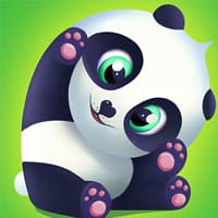 Cute Pet Panda