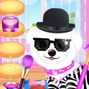 Pet Makeup Master - Play for Free