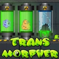 Transmorpher 1