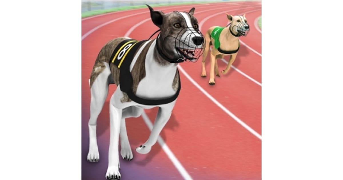 Greyhound Racing - Play Now For Free